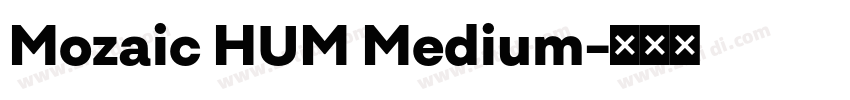 Mozaic HUM Medium字体转换